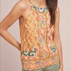 Anthropology top